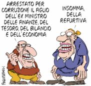 Copertina di La vignetta di Franzaroli