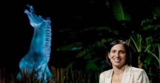 Copertina di Rai, sit-in dem: i lottizzati Pd però restano tutti dentro