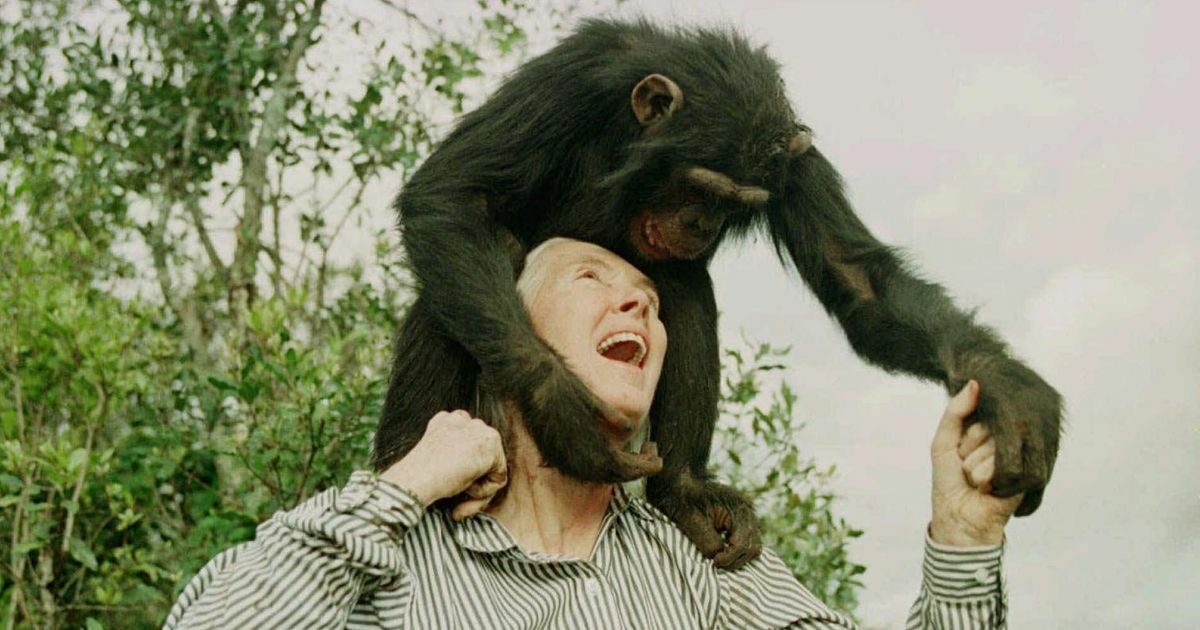 Giornata delle donne nella scienza. Dall’esploratrice Jeanne Baret alla “regina del sole” Maria Telkes: chi sono state le “prime” per l’ambiente