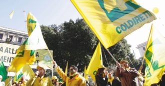 Copertina di Coldiretti piglia tutto: anche il business dei “caf” agricoli. Le manovre di Lollobrigida per favorirla, penalizzando le sigle minori