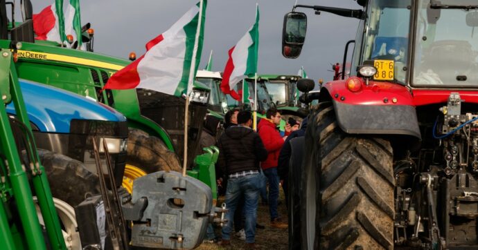 Copertina di Agricoltura, Giuseppe Romano (Aiab): “I trattori hanno ragione, ma il problema è il prezzo basso non le politiche green”