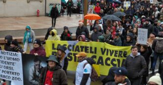 Copertina di Trento, mille animalisti in corteo contro la Provincia e la legge ammazza-orsi: “Il presidente Fugatti vuole l’estinzione”