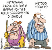 Copertina di La vignetta di Franzaroli