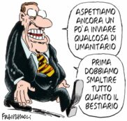 Copertina di La vignetta di Franzaroli