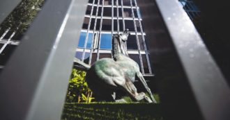 Copertina di Rai, dopo le polemiche per Ghali l’editto di Salvini: gli artisti fuori per 6 mesi