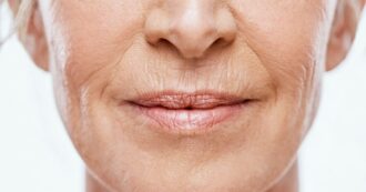 Copertina di Perché quando invecchiamo ci vengono le rughe? La risposta nel nuovo studio