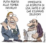 Copertina di La vignetta di Franzaroli