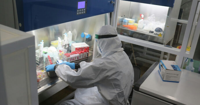 “Hanno mangiato germogli di erba medica e si sono sentiti male”: oltre 40 contagi da Salmonella ed Escherichia coli, cosa c’è dietro il focolaio negli usa