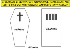 Copertina di La vignetta di Natangelo