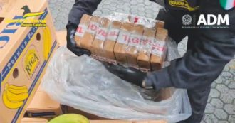 Copertina di Cocaina, sequestro di 2,7 tonnellate: il ruolo di Imperiale