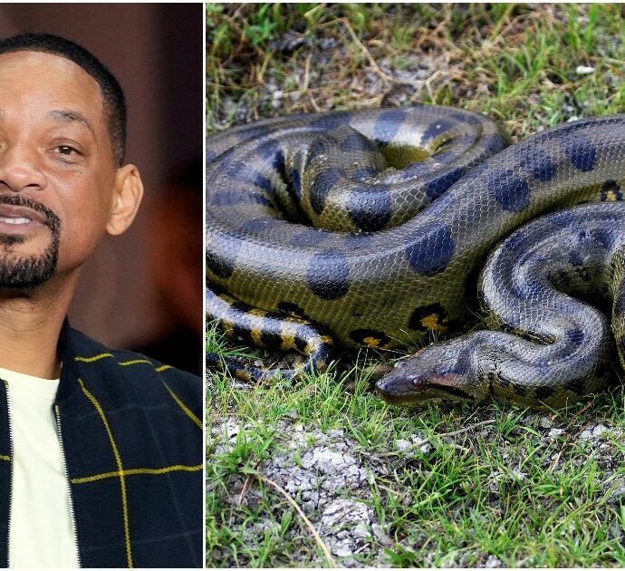 Will Smith scopre la “doppia” anaconda gigante: la clamorosa rivelazione mentre stava girando un documentario del National Geographic