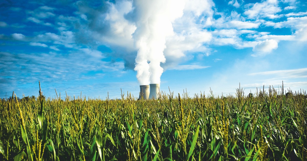 Nucleare: 2024 record, ma la produzione è destinata a calare di qui al 2030. E sui reattori modulari cresce il divario “tra clamore e realtà” Nucleare: 2024 record, ma la produzione è destinata a calare di qui al 2030. E sui reattori modulari cresce il divario “tra clamore e realtà”