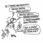 Copertina di La vignetta di Vauro
