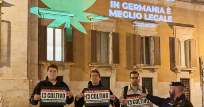 Cannabis, Schlein e Grillo: “Berlino l’ha legalizzata, muoviamoci”. Gasparri: “Si vergognino, vogliono dare droghe ai ragazzi”