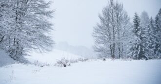 Copertina di Abbondanti nevicate nel Nord Italia: forte pericolo di valanghe dall’Alto Adige alla Lombardia