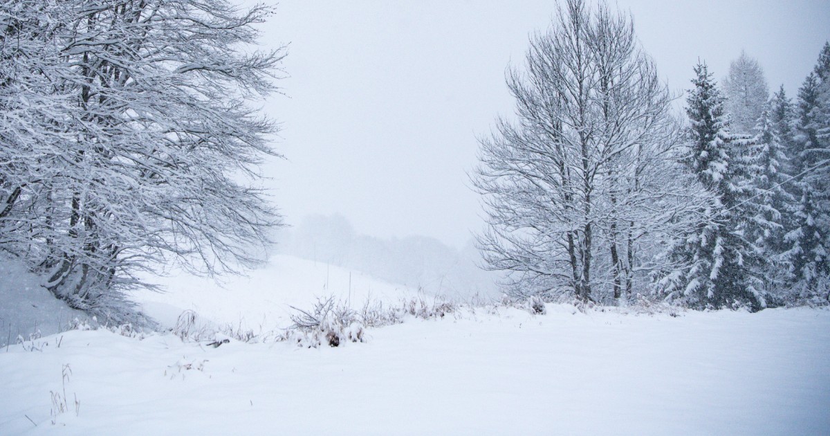 Copertina di Abbondanti nevicate nel Nord Italia: forte pericolo di valanghe dall’Alto Adige alla Lombardia