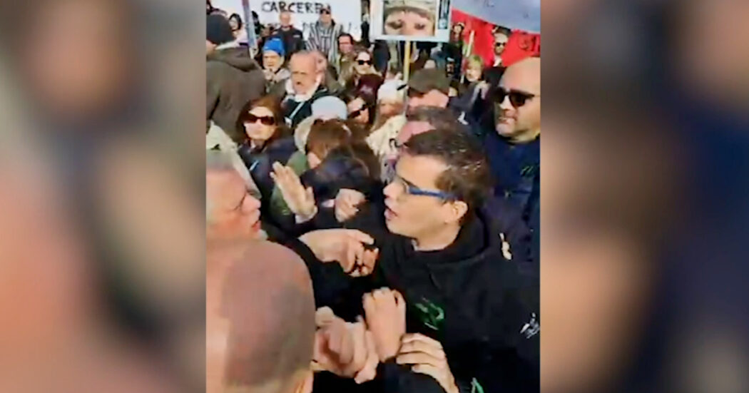 Attivista contesta la deputata Brambilla, tensione al corteo animalista di Milano – Video