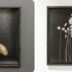Copertina di Deep Blossom, in mostra i fiori di Krauss che insegnano a riconoscere la magia delle piccole cose