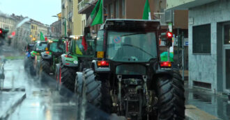 Copertina di I trattori entrano a Milano, i passanti salutano gli agricoltori in corteo per protesta – Video