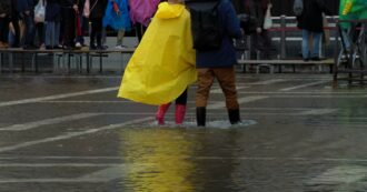 Copertina di Pioggia a Venezia, torna l’acqua alta nel capoluogo veneto e i turisti camminano sulle passerelle: le immagini