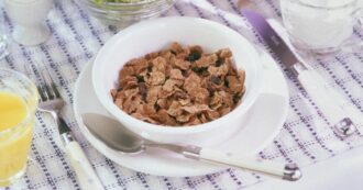 Copertina di “Le famiglie povere potrebbero sfamarsi mangiando cereali per cena”: bufera sul multimilionario ceo di Kellogg’s Gary Pilnick