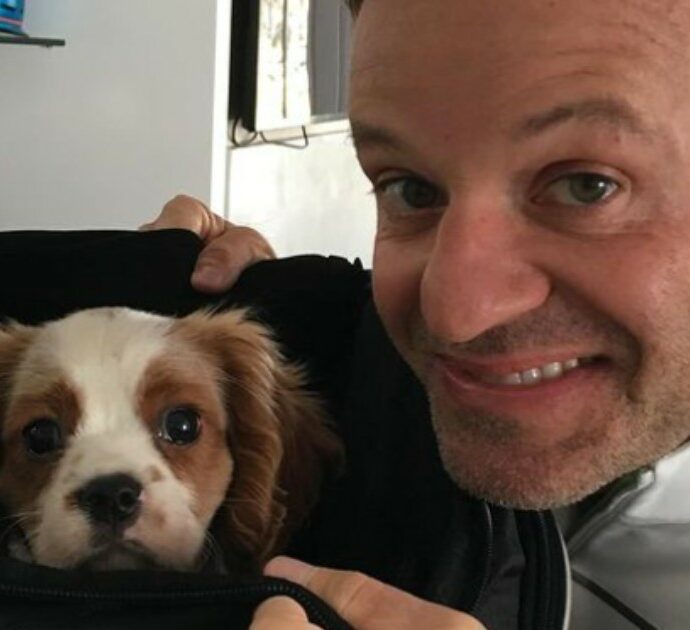 “Il mio cane ha ingerito 11 mozziconi di sigaretta, si è rotto lo stomaco ed è morto”: il dolore di Barrichello, ex pilota di Formula 1