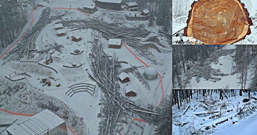 Olimpiadi, il bosco distrutto per la pista da bob: a Cortina in pochi giorni abbattuta la stessa quantità di alberi degli ultimi 12 anni – Foto