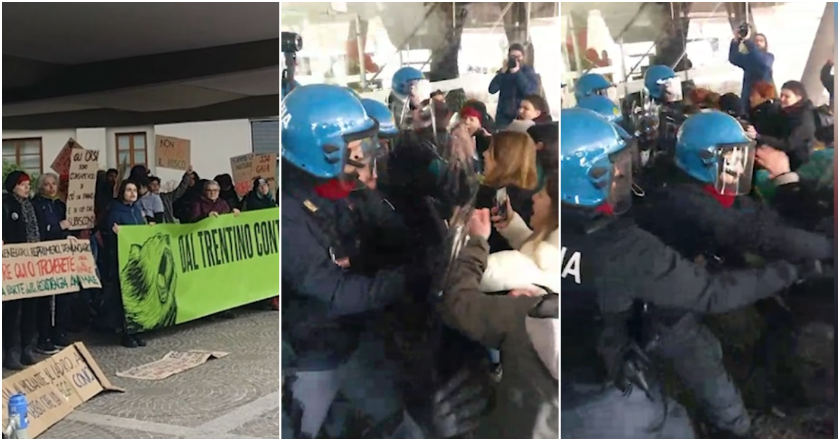 Trento, tensione tra animalisti e forze dell’ordine all’ingresso del palazzo della Provincia: la protesta contro la legge “ammazza orsi”
