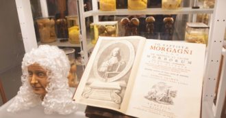 Copertina di Cuori, fegati e milze: il “museo” della morte che celebra la vita