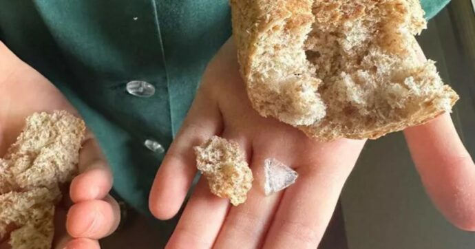 Milano, per due volte in una settimana trovata plastica nel pane di una mensa scolastica: prodotto ritirato, indagano i Nas