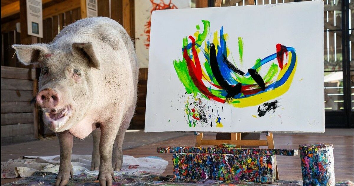 È morta Pigcasso, la maialina salvata dal macello e diventata un’artista: “Con la vendita dei suoi quadri ha aiutato molti animali”