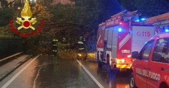 Copertina di Frane e alberi caduti, disagi in Liguria: Aurelia chiusa in più punti. I sindaci valdostani: “Non uscite da casa”. Blackout in valli del Piemonte