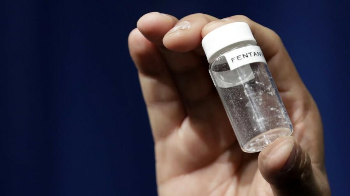 fentanyl via libera al decreto dalle casseforti inamovibili alle telecamere la reazione al mega furto di giugno da Ilfattoquotidiano.it fentanyl via libera al decreto dalle casseforti inamovibili alle telecamere la reazione al mega furto di giugno