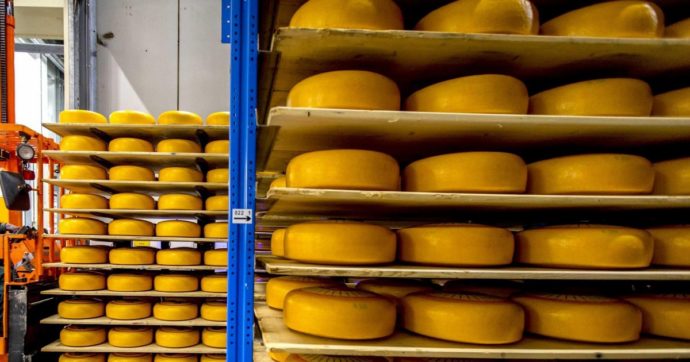 Il suo formaggio ridusse bimbo in fin di vita: Trento premia l’azienda: “Altissima qualità”