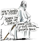 Copertina di La vignetta di Mora