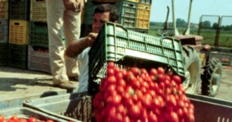 Copertina di Stagionali e colf, il dl flussi ancora non funziona