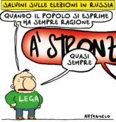 Copertina di La vignetta di Natangelo