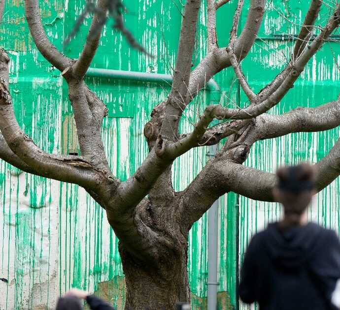La nuova opera di Banksy: a Londra spunta un suo murale “ecologista” dove prima c’era un albero spoglio