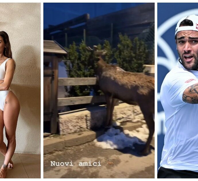 Melissa Satta posta la foto di un cervo mentre Matteo Berrettini perde il match all’Atp di Phoenix: coincidenza o frecciata al tennista?