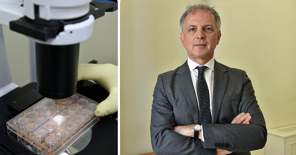 terapia genica 2 0 una nuova via in vivo per correggere le malattie genetiche alla nascita