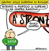 Copertina di Vox populi