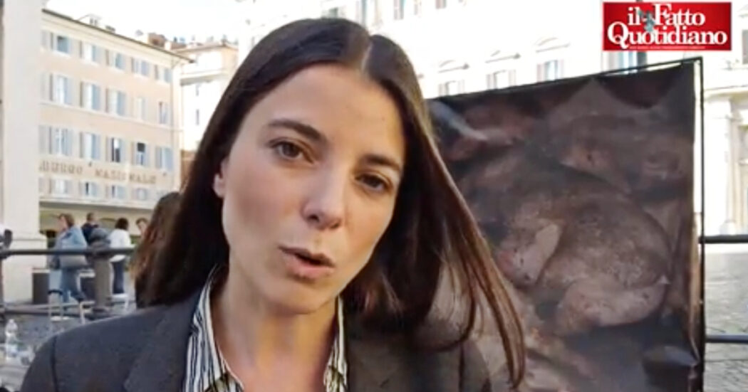 “Food for profit”, il film in Parlamento. Giulia Innocenzi: “Stop ai finanziamenti agli allevamenti intensivi. Il governo? Agli ordini di Coldiretti”