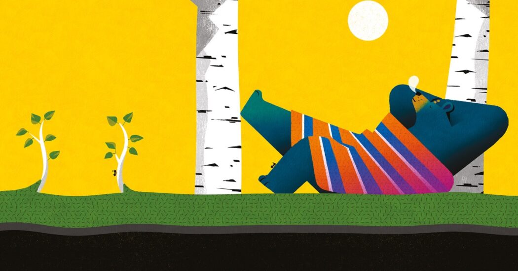 “Pando”, il libro per bambini sulla foresta che si autoclona: è l’organismo vivente più grande al mondo