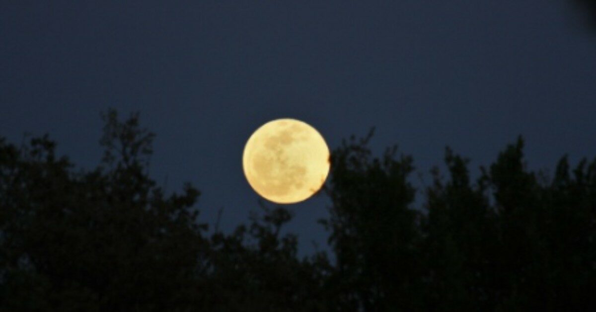 La Luna Piena del Lombrico cade il 25 marzo: “Tempi agitati. Solo chi lavorerà su stesso potrà sperimentare un senso di chiarezza”. I suggerimenti delle Moonsisters