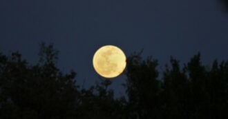 Copertina di La Luna Piena del Lombrico cade il 25 marzo: “Tempi agitati. Solo chi lavorerà su stesso potrà sperimentare un senso di chiarezza”. I suggerimenti delle Moonsisters