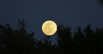 Copertina di Ecco la “Cold Moon”: il 5 dicembre arriva la Superluna Fredda, lo spettacolo astronomico finale del 2025