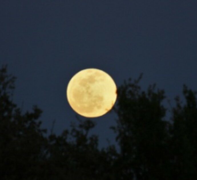 La Luna Piena del Lombrico cade il 25 marzo: “Tempi agitati. Solo chi lavorerà su stesso potrà sperimentare un senso di chiarezza”. I suggerimenti delle Moonsisters