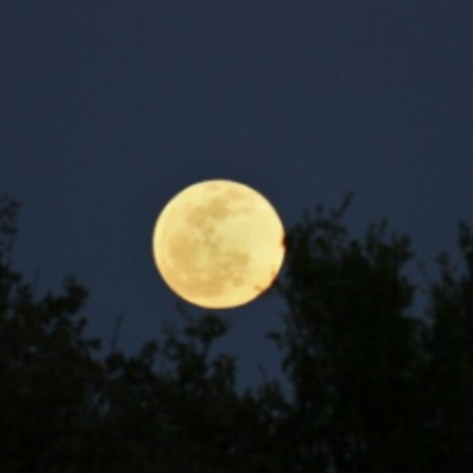 La Luna Piena del Lombrico cade il 25 marzo: “Tempi agitati. Solo chi lavorerà su stesso potrà sperimentare un senso di chiarezza”. I suggerimenti delle Moonsisters