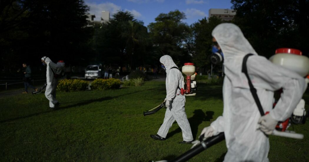 L’organizzazione panamericana della sanità: “Verso la peggiore epidemia di dengue della storia. Già 3,5 milioni di contagi”