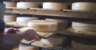 Formaggio contaminato, il papà del bimbo in coma: “Occultati i rischi del latte crudo”